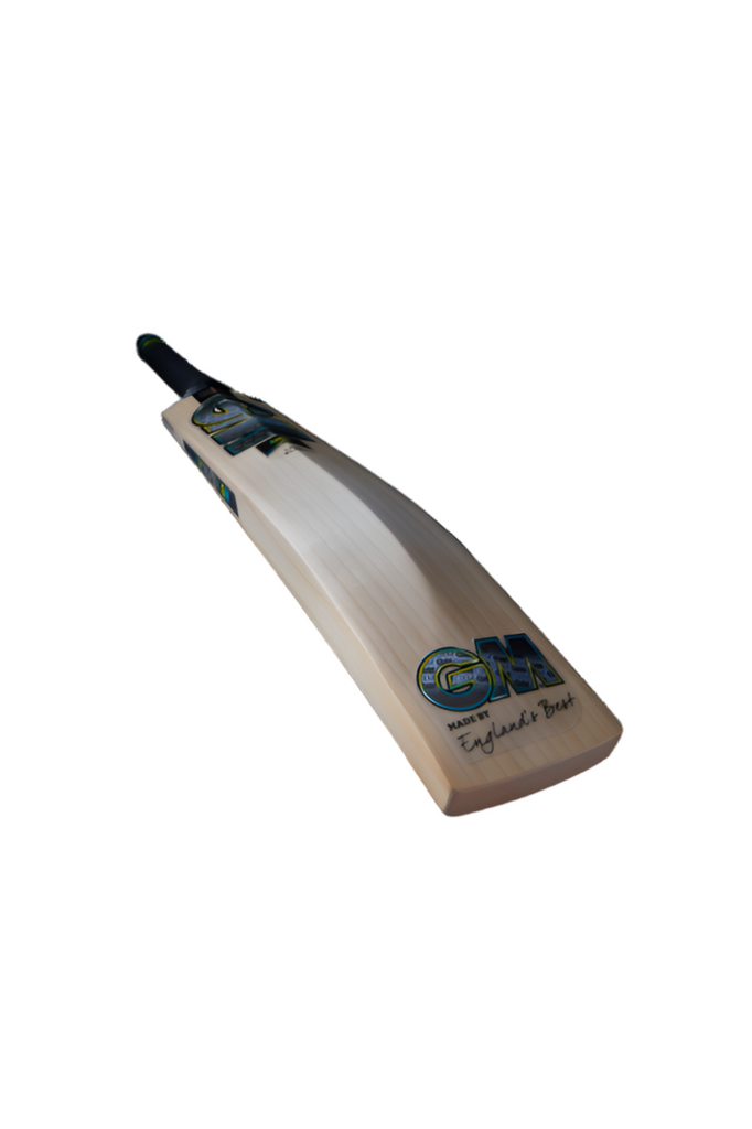 GM AION CRICKET BAT.    SH     LH