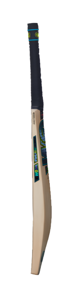 GM AION CRICKET BAT.    SH     LH