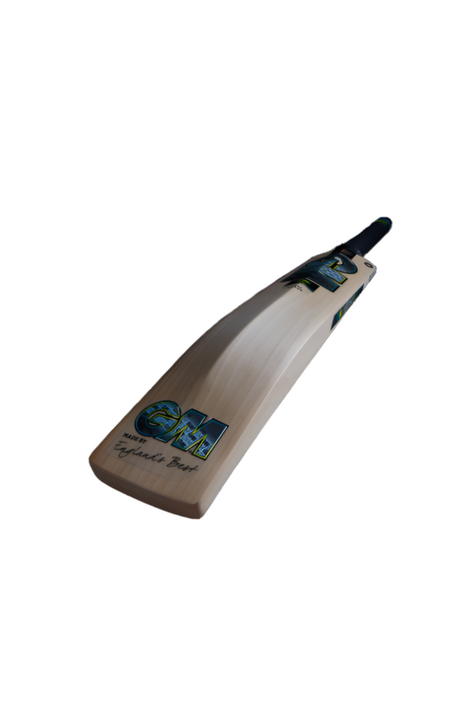 GM AION CRICKET BAT.    SH     LH