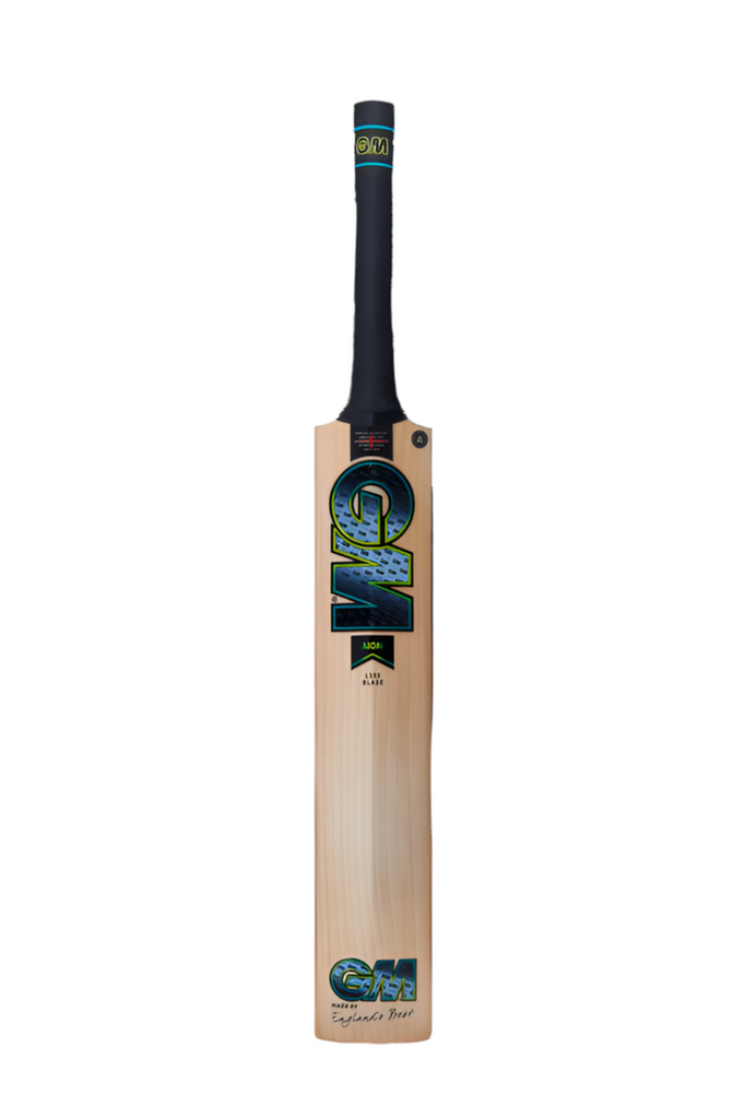 GM AION CRICKET BAT.    SH     LH