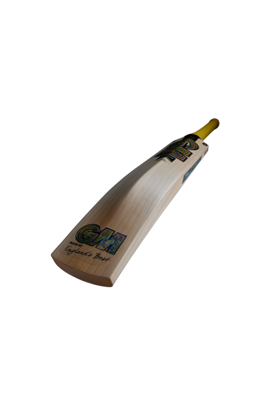 GM PSYCHE CRICKET BAT JUNIOR