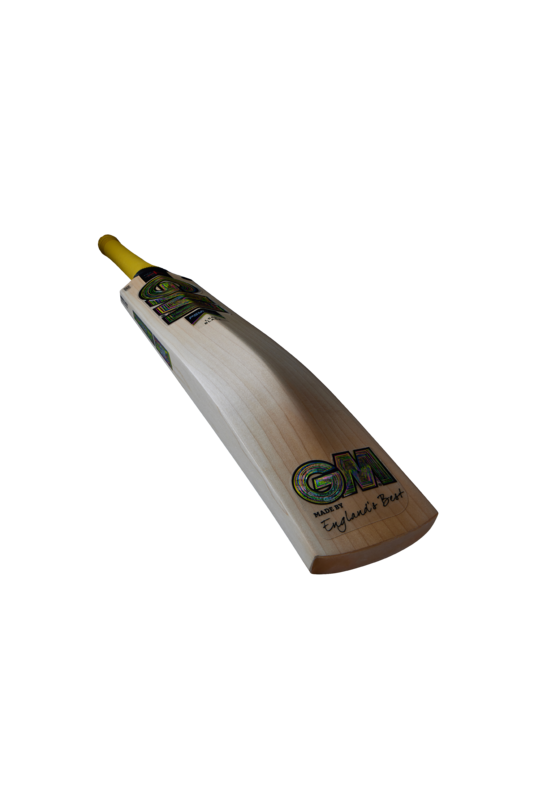 GM PSYCHE CRICKET BAT JUNIOR