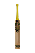 Load image into Gallery viewer, GM PSYCHE CRICKET BAT JUNIOR