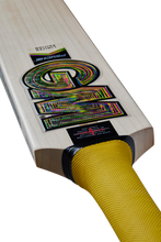 Load image into Gallery viewer, GM PSYCHE CRICKET BAT JUNIOR