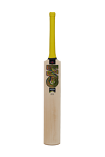 Load image into Gallery viewer, GM PSYCHE CRICKET BAT JUNIOR