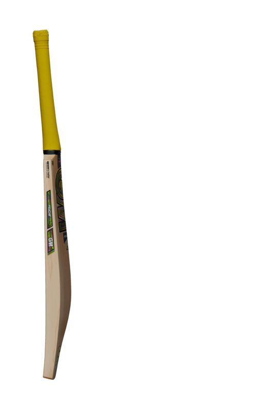 GM PSYCHE CRICKET BAT JUNIOR